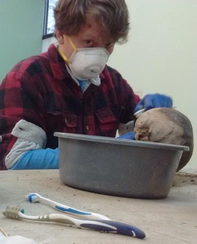 Rory Palmer wet brushing a human skull
